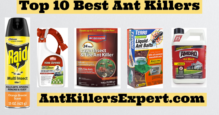 Top 10 Best Ant Killers